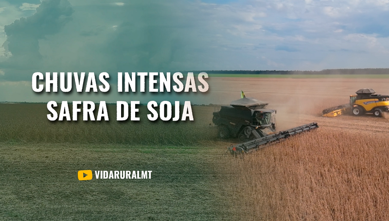 CHUVAS ATRASAM COLHEITA NO MATO GROSSO
